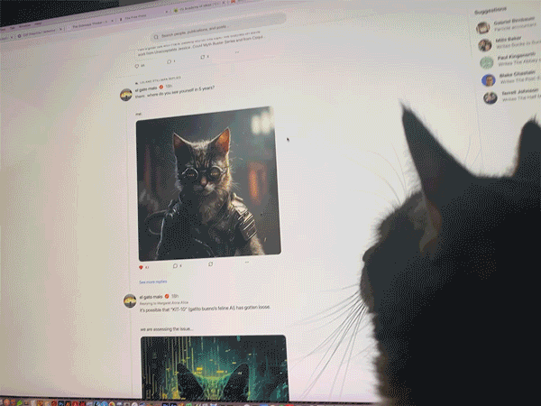 One of Our Kitties Using Substack Notes