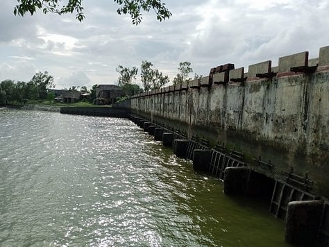 My Visit to the River Piyali : Kidney of Kolkata