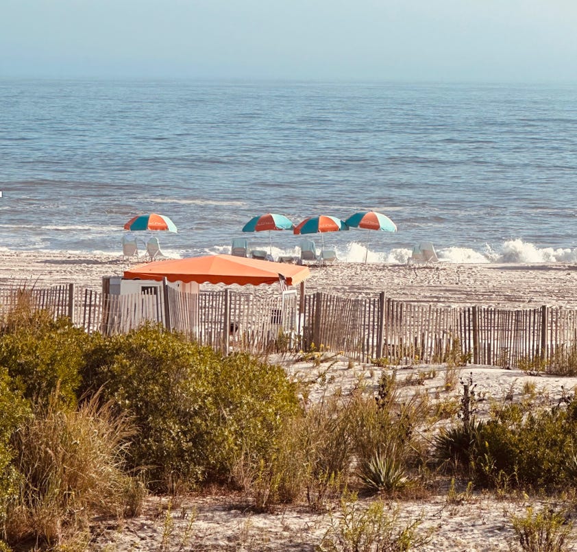 A beach with umbrellas and bushes

Description automatically generated
