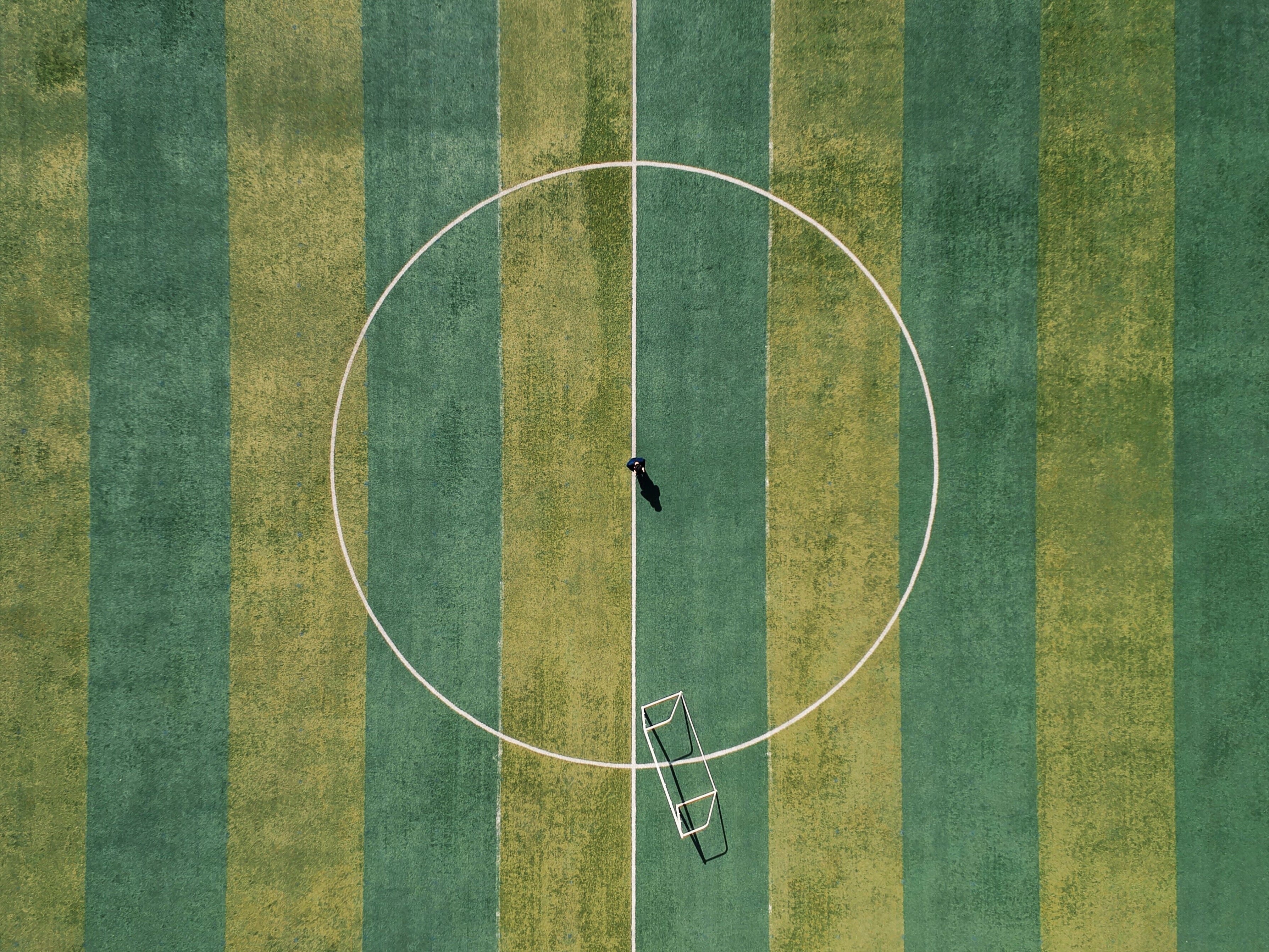 豊かな社会をもたらす健全な「社会的アイデンティティ」とは｜ジェイ・ヴァン・バヴェル × 柳澤田実