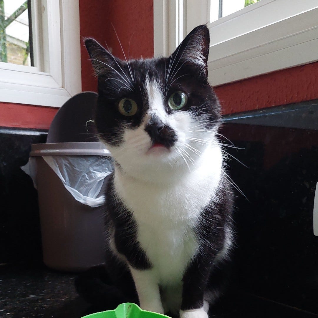 Artwork for aue’s Substack