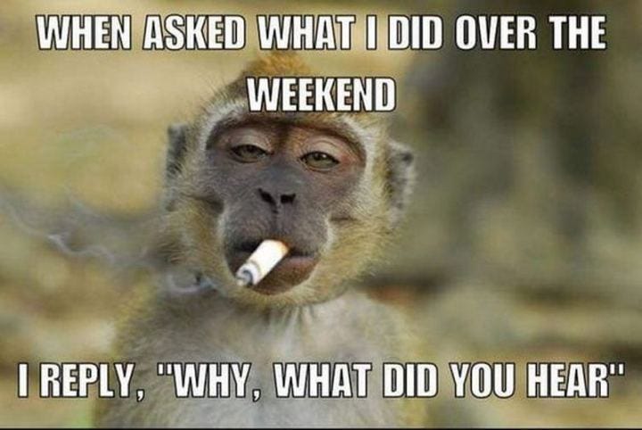 101 Funny Weekend Memes to Celebrate the End of a Long Week at Work