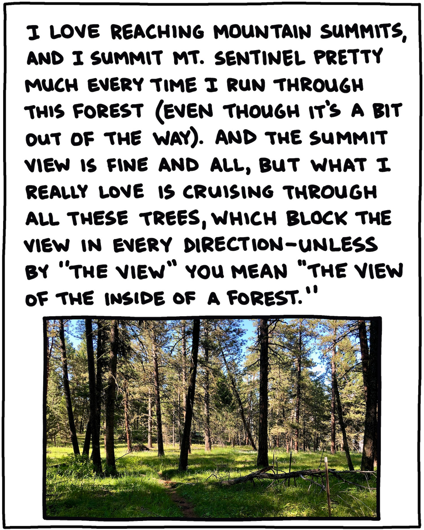 photo of trees and text: I love reaching mountain summits, and I summit Mt. Sentinel pretty much every time I run through this forest (even though it’s a bit out of the way). And the summit view is fine and all, but what I really love is cruising through all these trees, which block the view in every direction—unless by “the view” you mean “the view of the inside of a forest.”