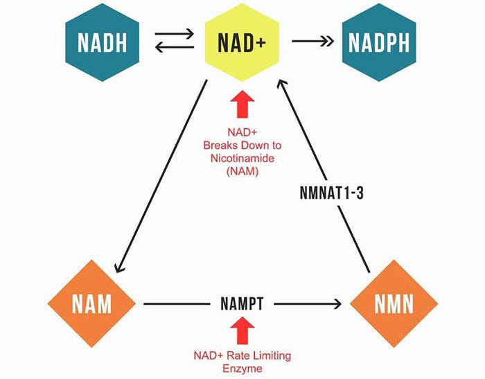 NAD+ precursor