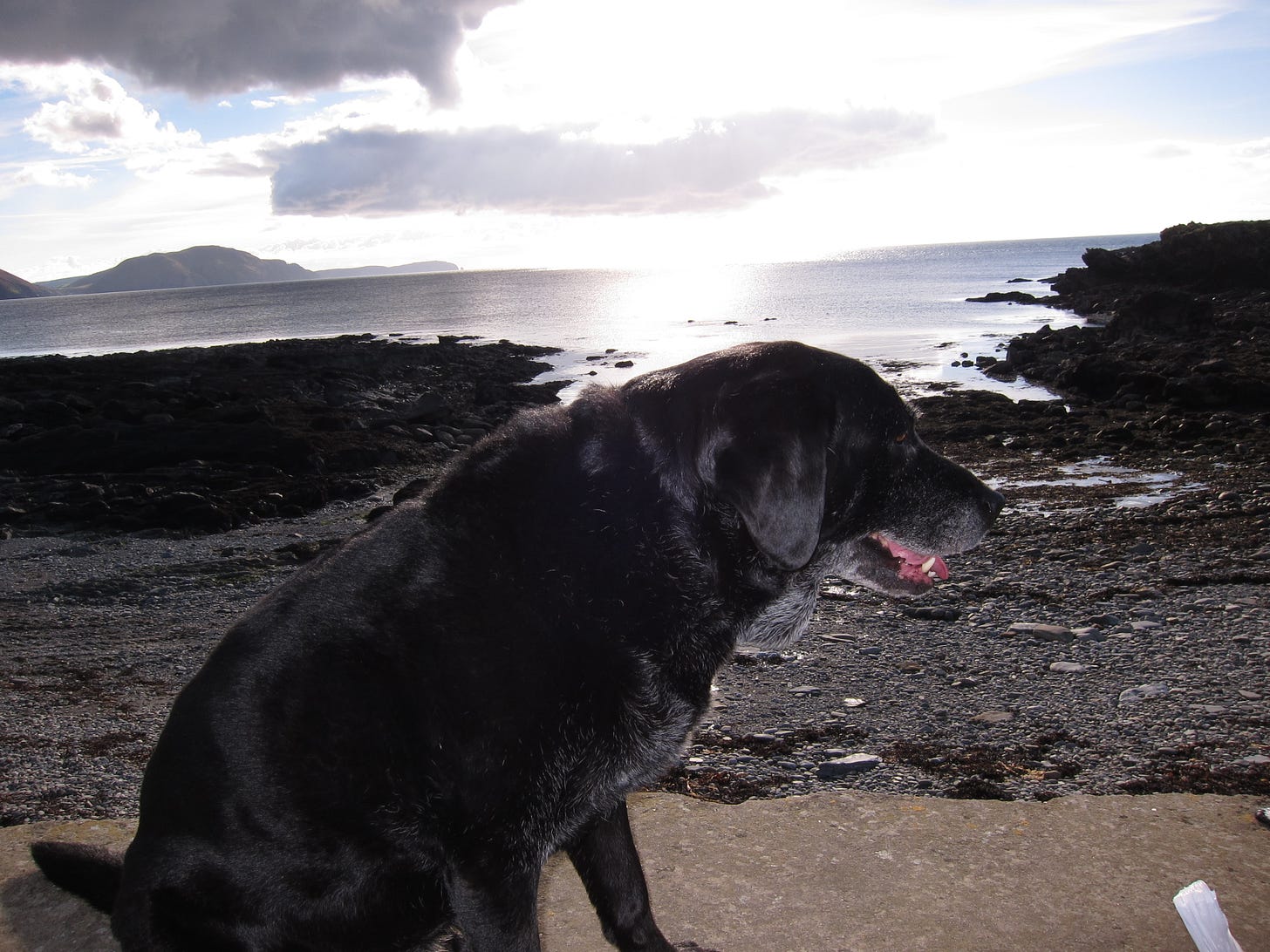 Beavis by the sea