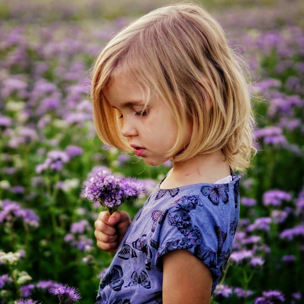 girl holding purple flowers girl holding purple flowers