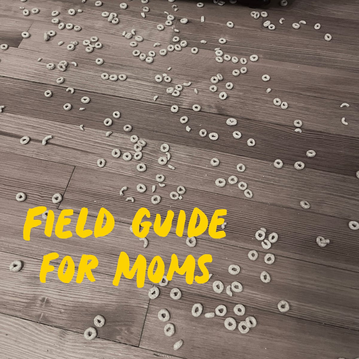 Field Guide for Moms