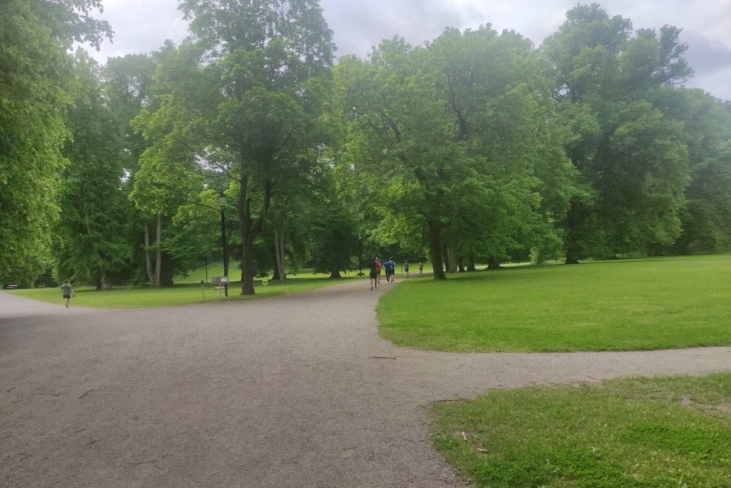 Tall trees stand in the park, with open spaces all around.