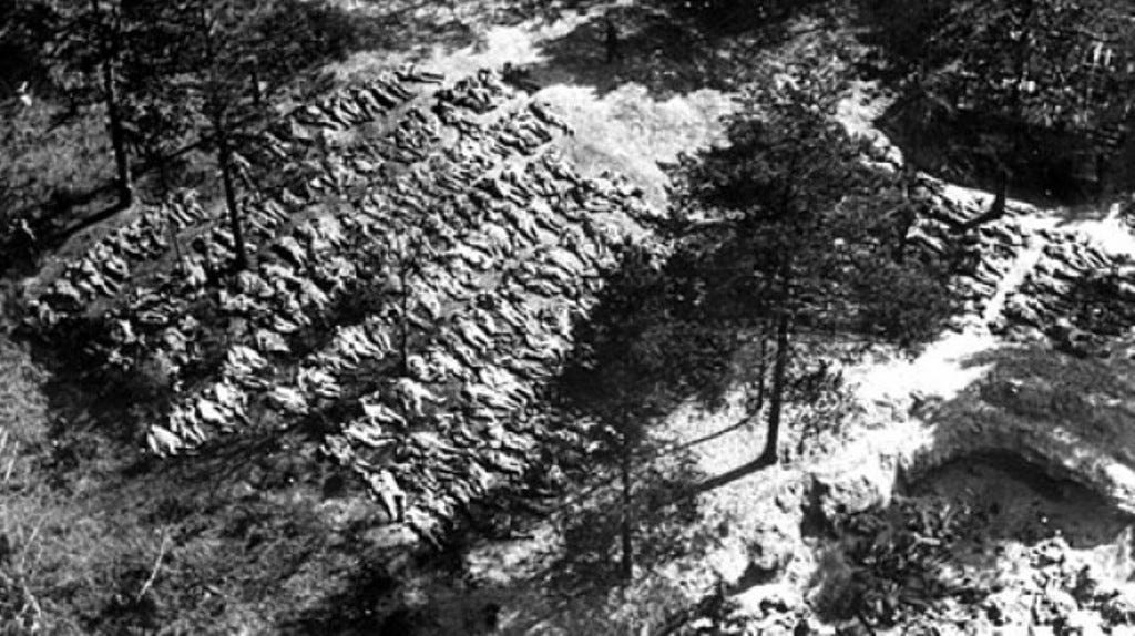 Trečiojo Reicho triumfas. 8.5 Katynė