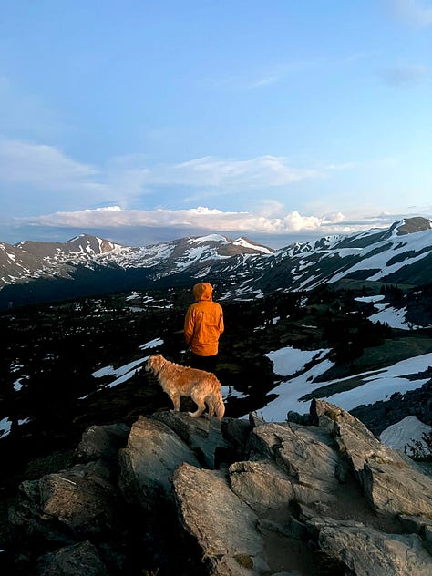 sandwich on a mountaintop, a man and a dog at dusk on a summit, columbine flowers