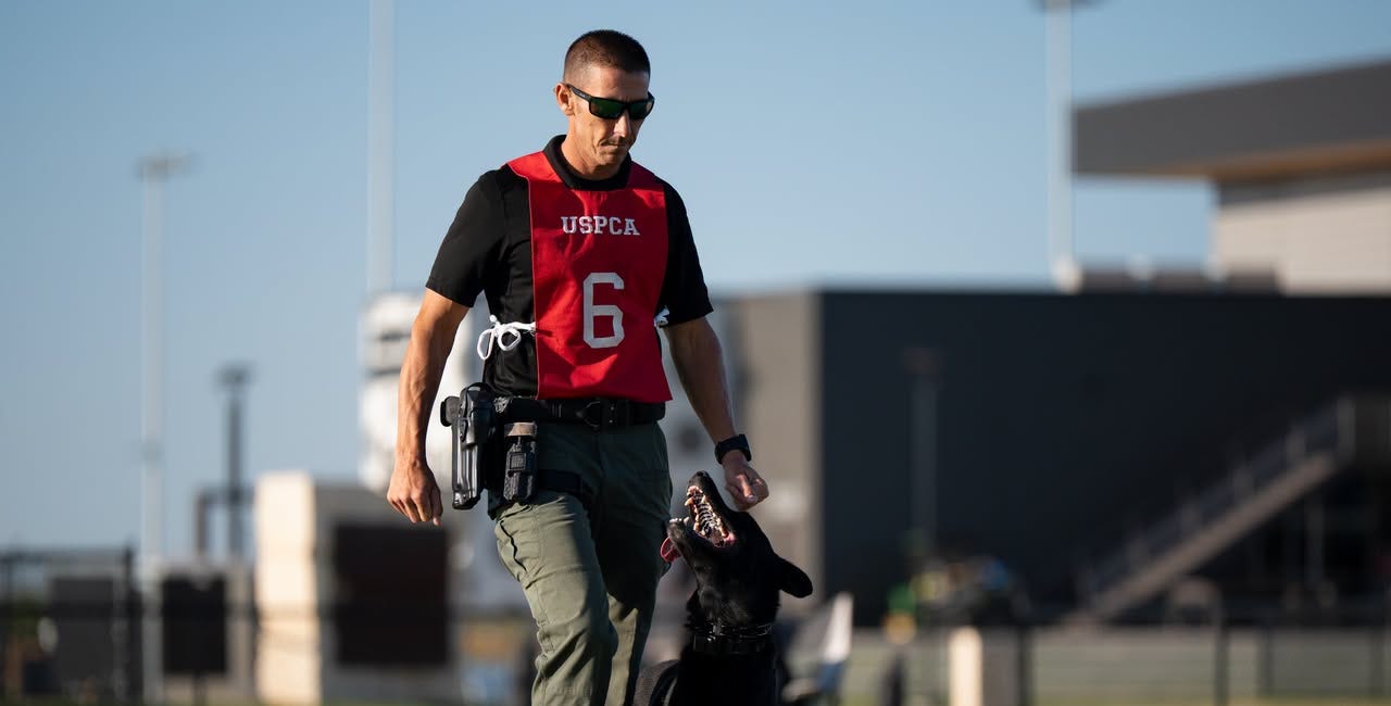 Manatee County Sheriff’s K9 Teams Earn Top Honors at National Competition