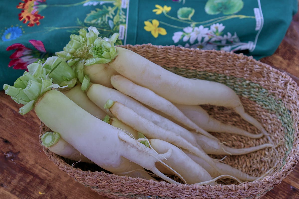 daikon radishes in a basket with an apron in the background daikon radishes in a basket with an apron in the background