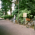 09 ✦ on living gently