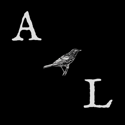 Substack profile picture for @albion