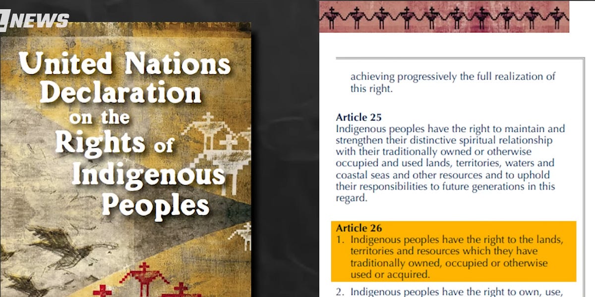 The U.N. and Its Staff Are A Plague On the Earth's People