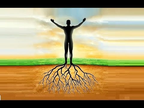 Earthing - connecting to the Earth's energy - PetarSmiljana Qigong