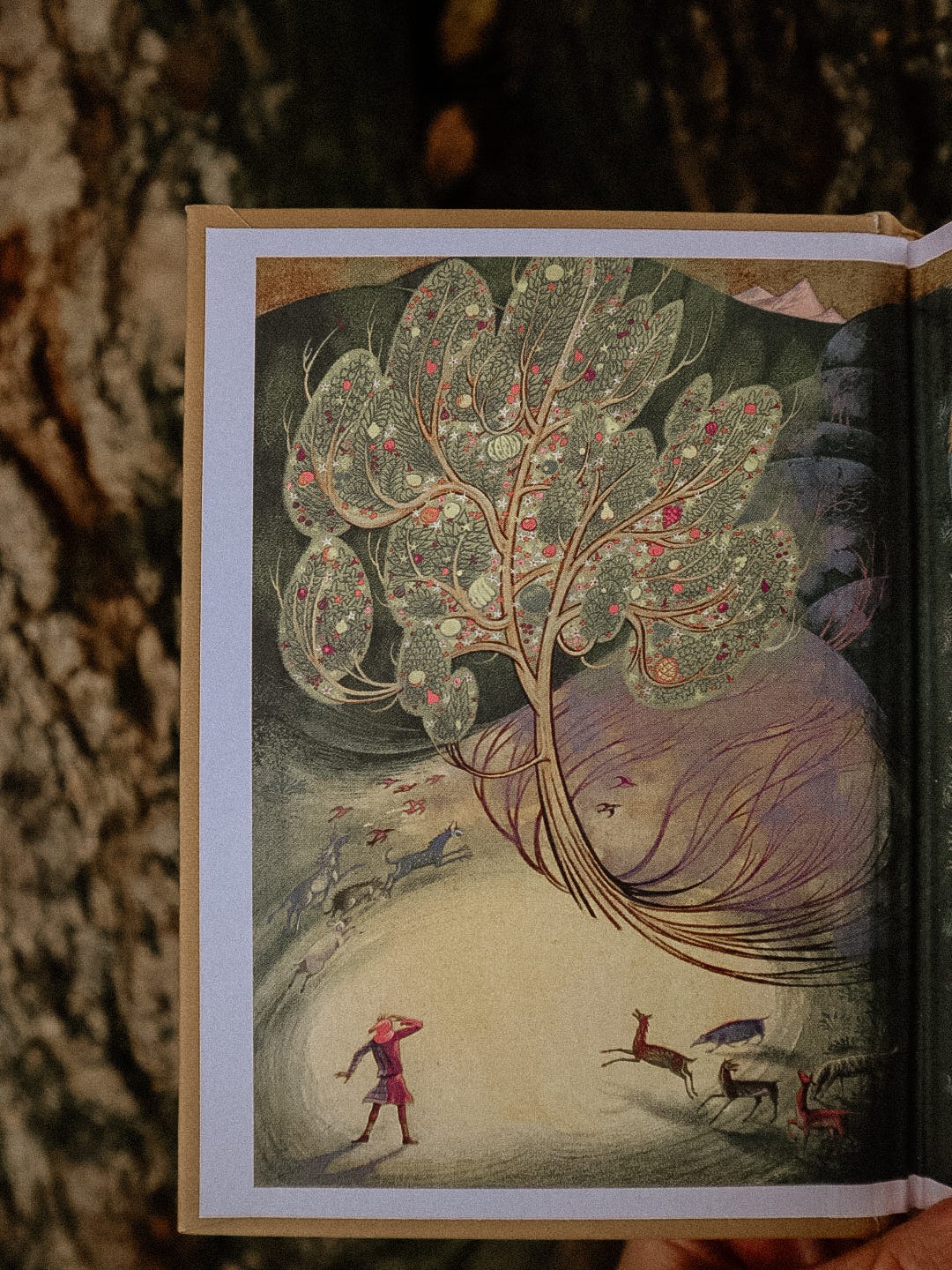 Faery Fetch
