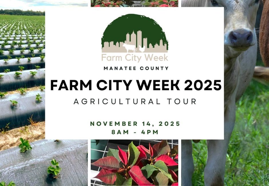 UF/IFAS Extension to Host “Keeping Agriculture Alive in 2025” Manatee County Farm Tour