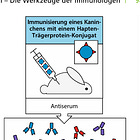 Die Landsteiner Experimente von 1936, Korrelate und was “die Wissenschaft(TM)” daraus gemacht hat