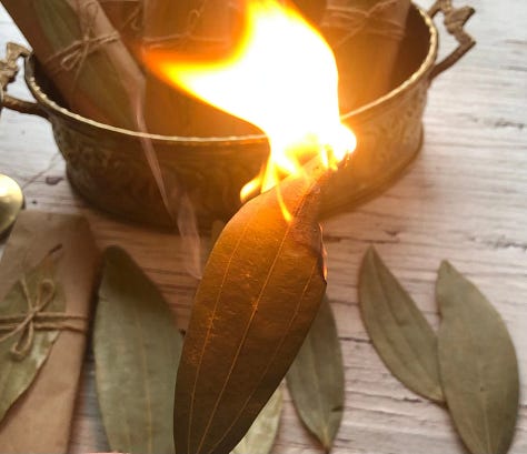 Green Bay Leaves are highly combustible/flammable and are not catching fire and burning up. Different Physics.