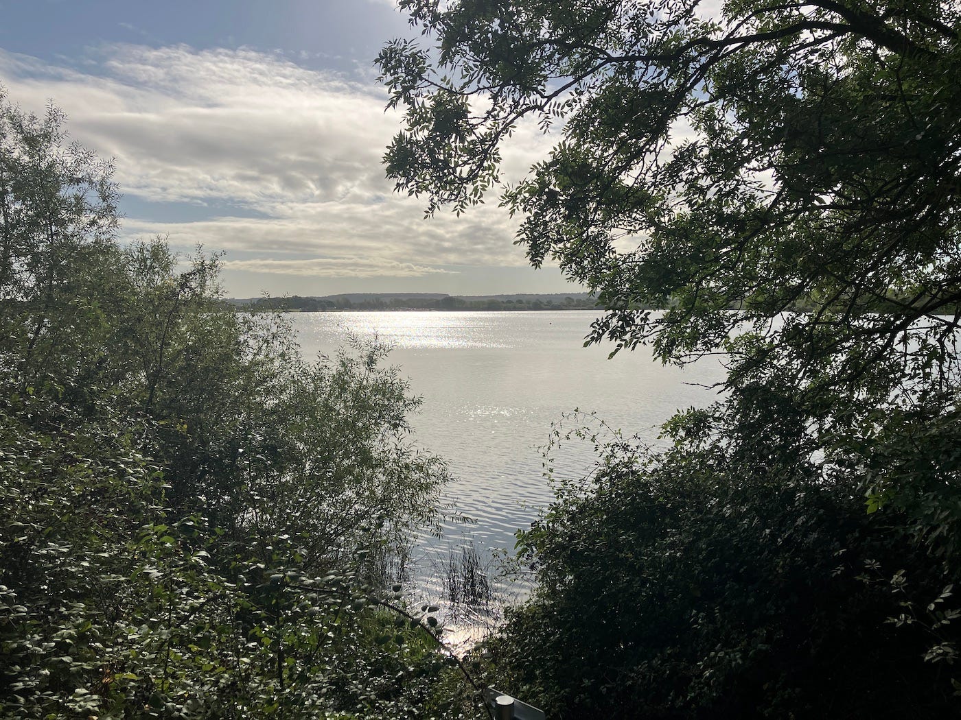 View of the lake through a v shape made by two bushes