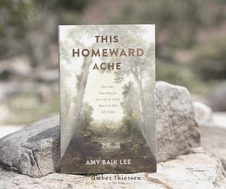 book cover This homeward ache by amy baik lee on a rock
