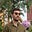 Michael's avatar