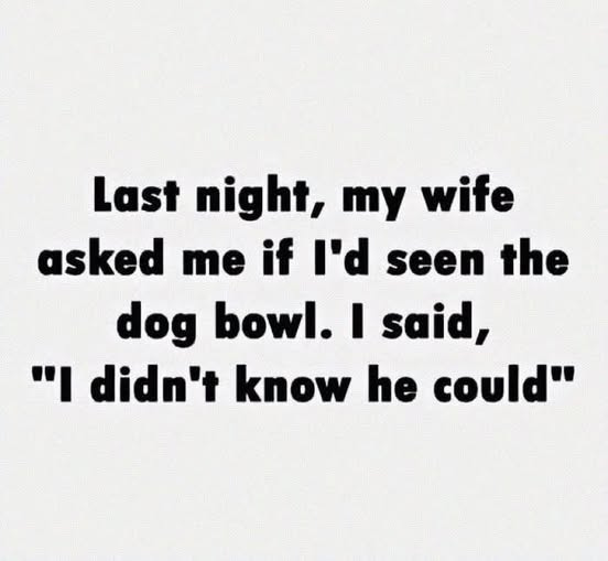 May be an image of dog and text that says 'Last night, my wife asked me if l'd seen the dog bowl. I said, "I didn't know he could"'
