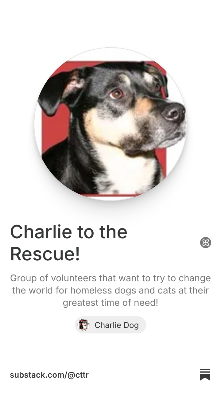 Charlie to the Rescue! | Substack