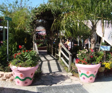 Chattaway St Petersburg Florida