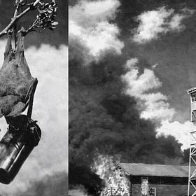 Exploding Bats and Spy Cats: 5 Times War Got Seriously Weird