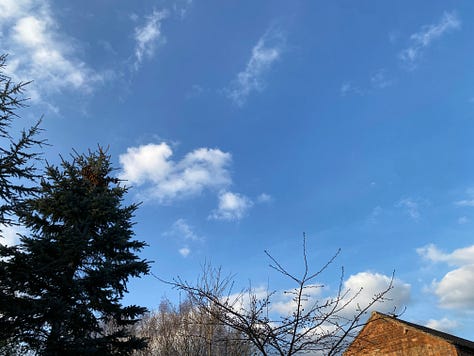 Nine photographs of the sky featuring various cloud types, colours and trees