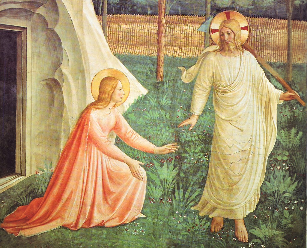 The Transfiguration "throws a dazzling light on our daily life and ...