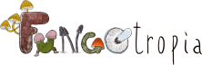Fungotropìa