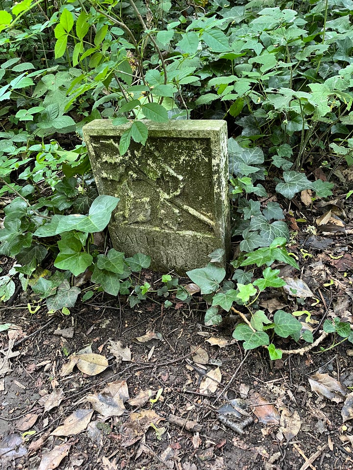 Four stone markers with inscribed illustrations and names of plants in the cemetery