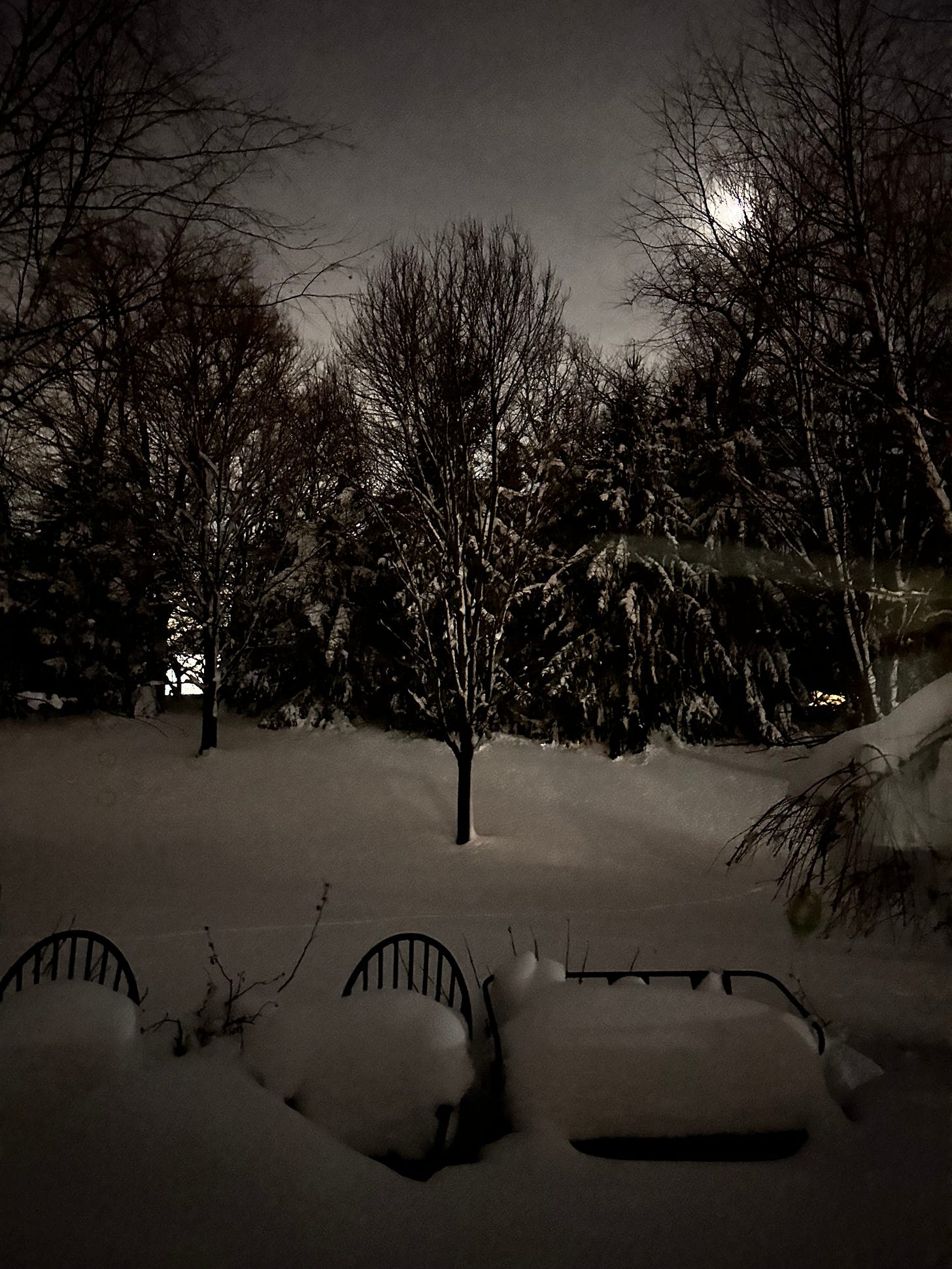 night scene with trees, snow, and a crescent moon