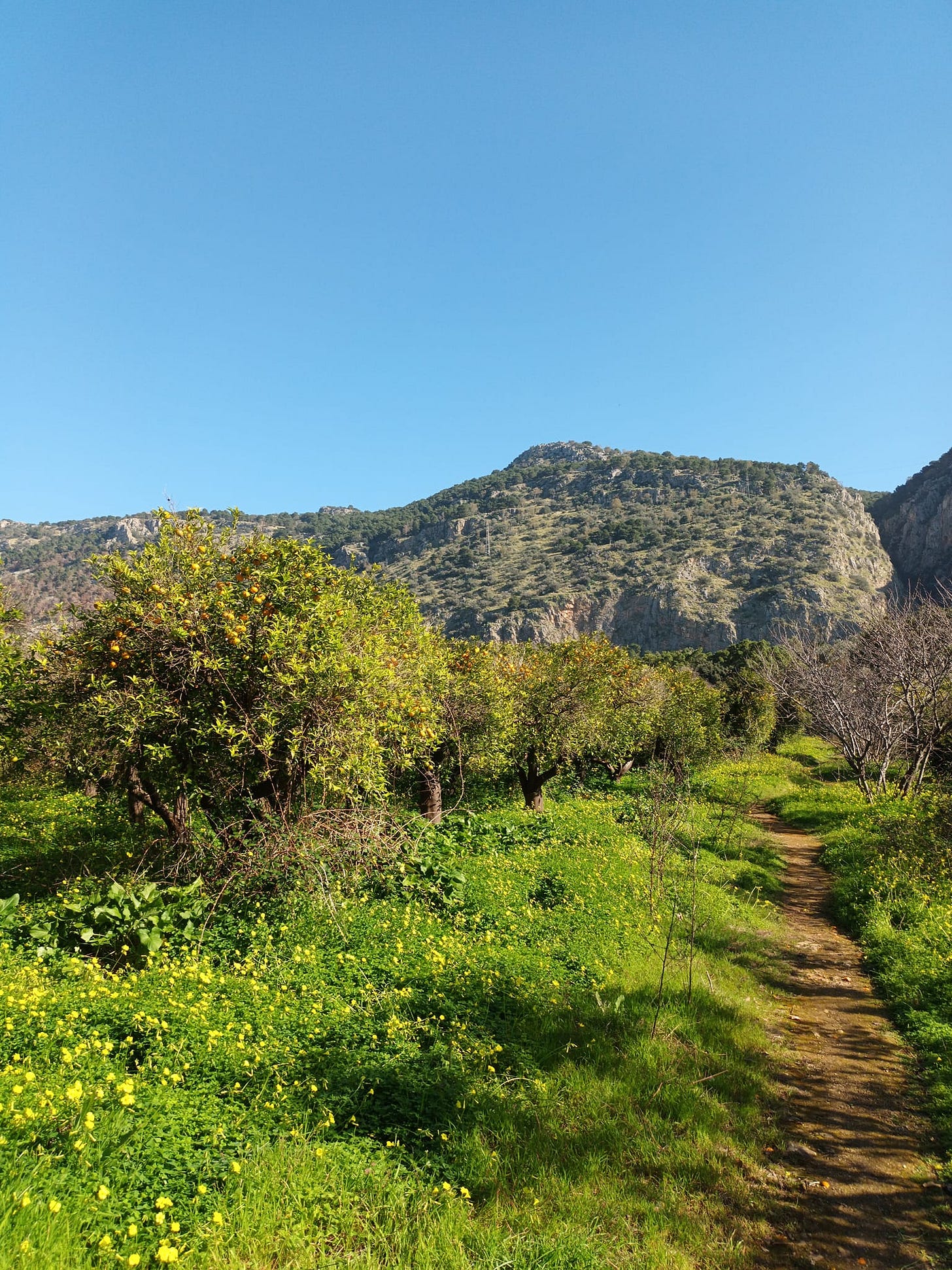 May be an image of mountain and nature