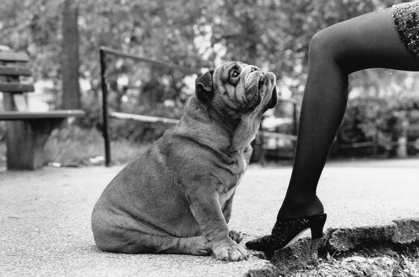 Exhibition - Elliott Erwitt - Robert Koch Gallery