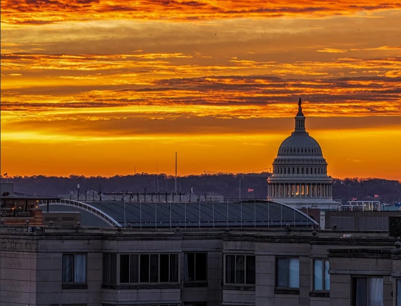 Democracy's Secret Weapon