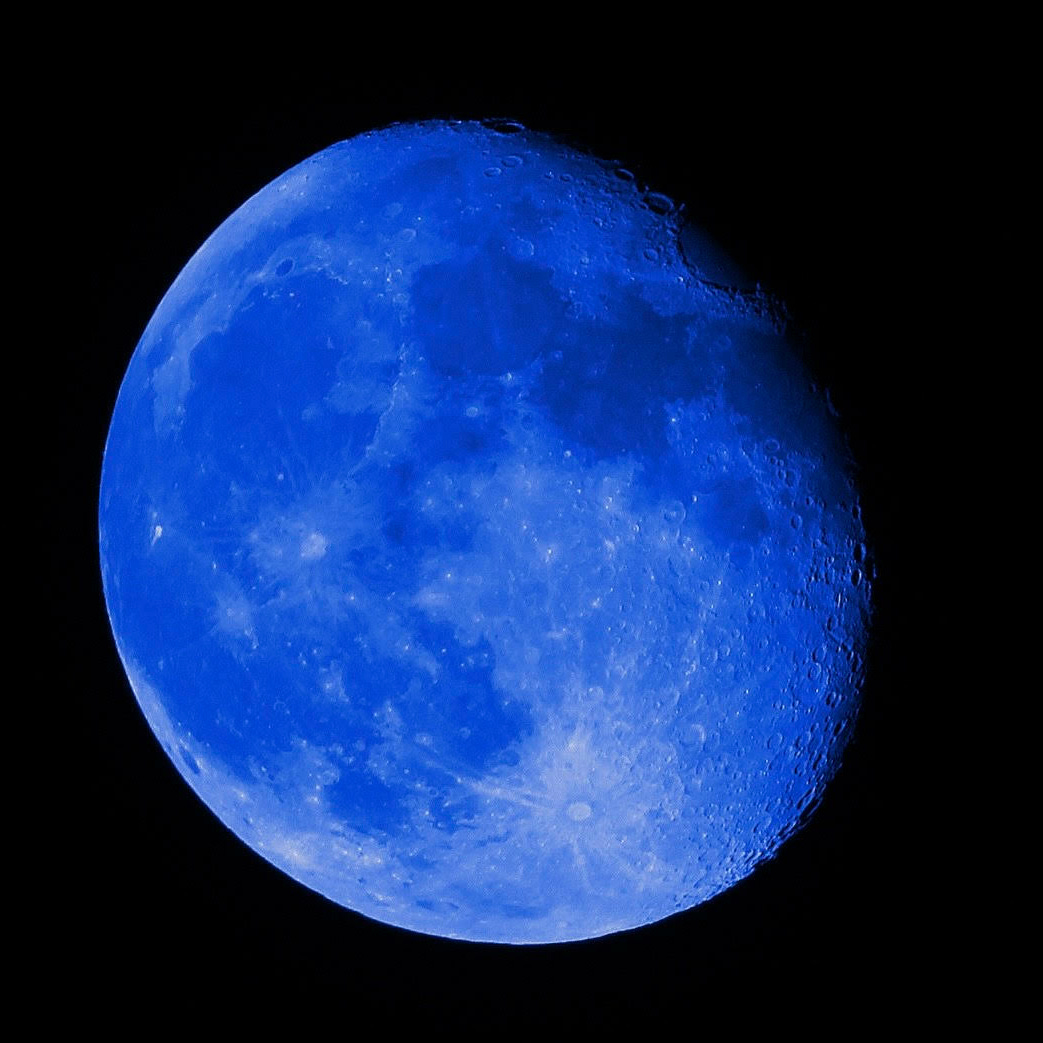 Artwork for The Wondering Weddleton