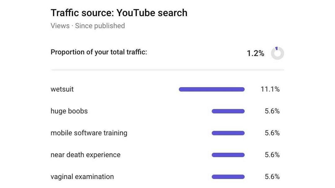 Screenshot of YouTube search keywords attributed to 1.2% of total traffic.