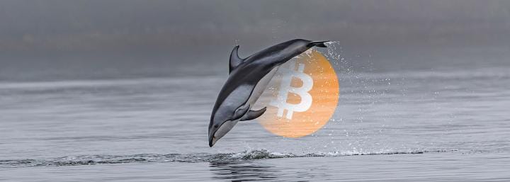 Investor says Bitcoin price could drop to $6k based on GBTC premium Investor says Bitcoin price could drop to $6k based on GBTC premium