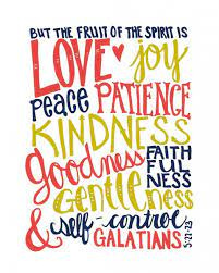 The Fruit of the Spirit - Now Habersham