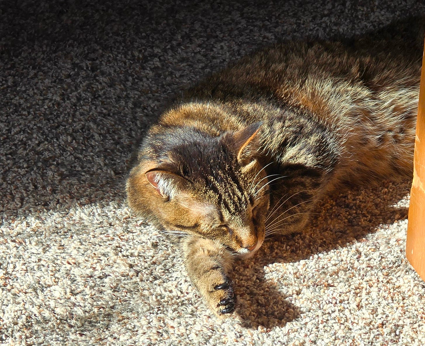 Wynnifred enjoying the sunshine