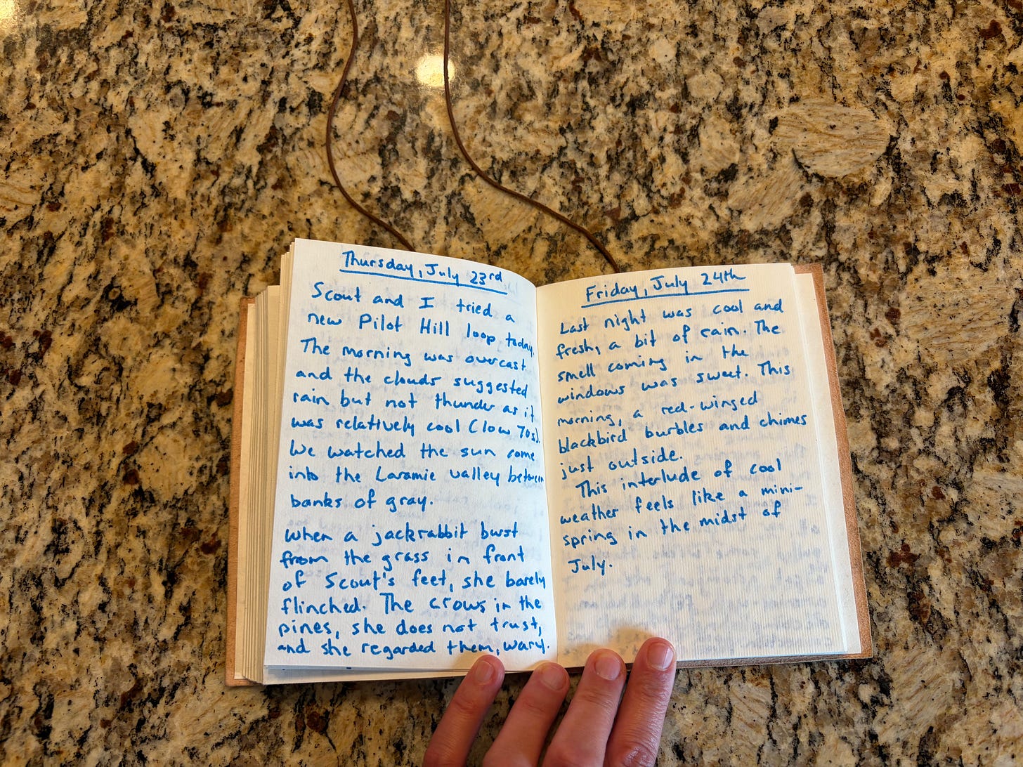 Alt text for journals: Image of handwritten journal (text transcript below)