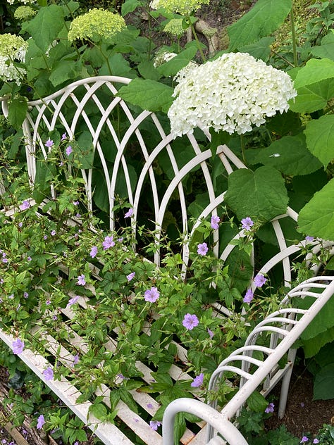View of Cottage Garden planting