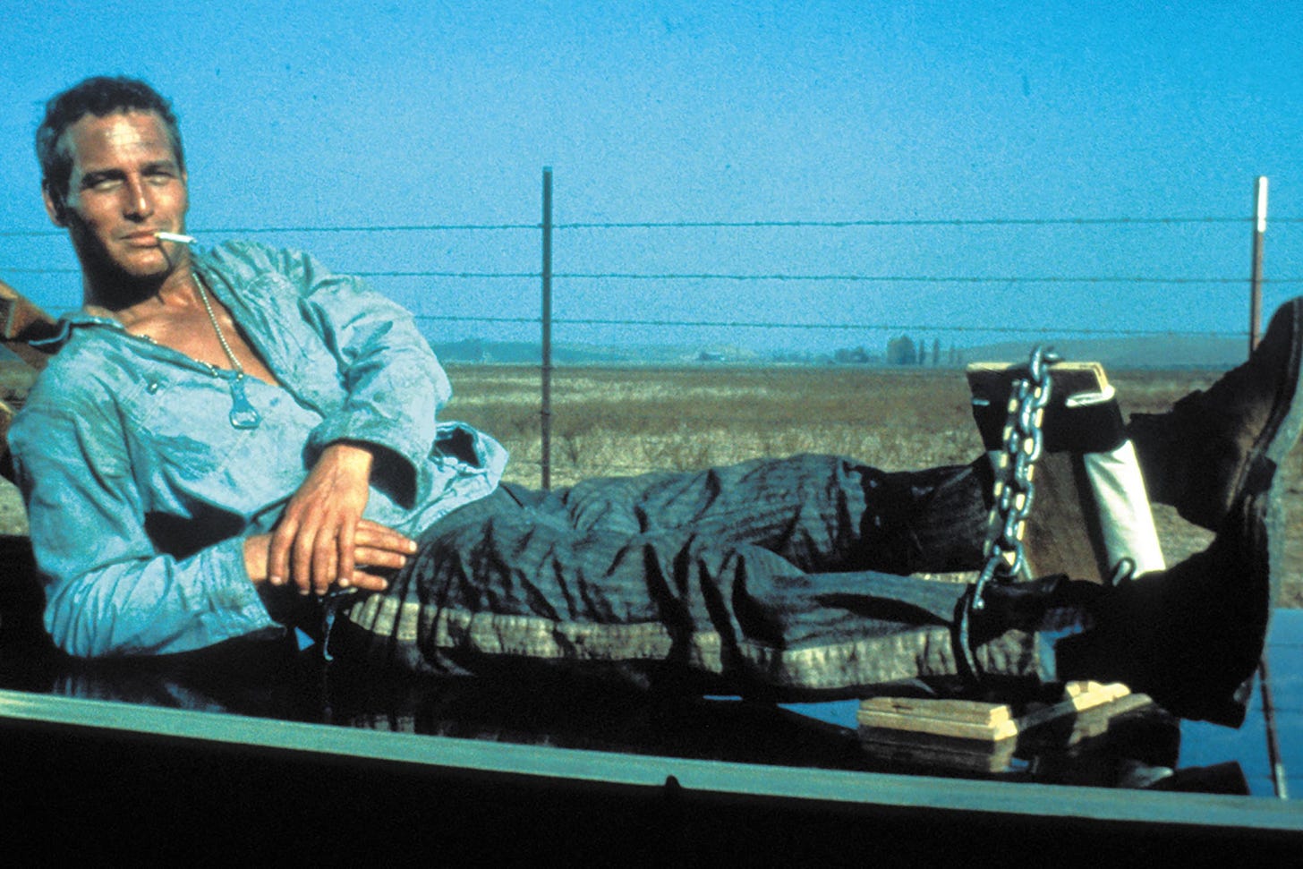 Image result for cool hand luke Image result for cool hand luke