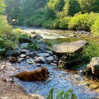 how does your ugly garden grow