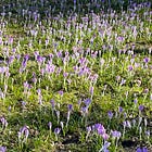 Five Things: War, Truth, AI, Secretaries, iPod