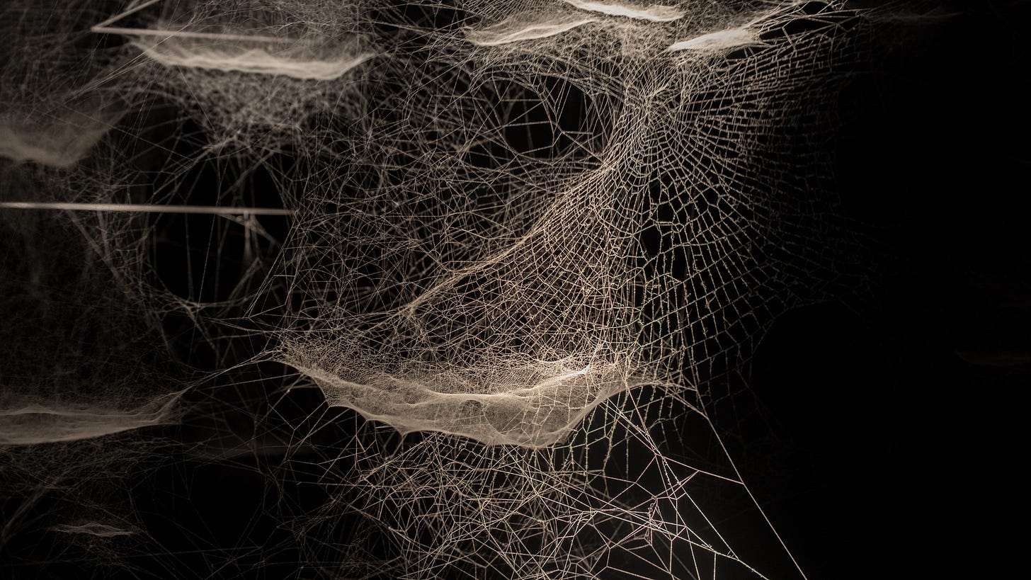 Interconnected Interconnected